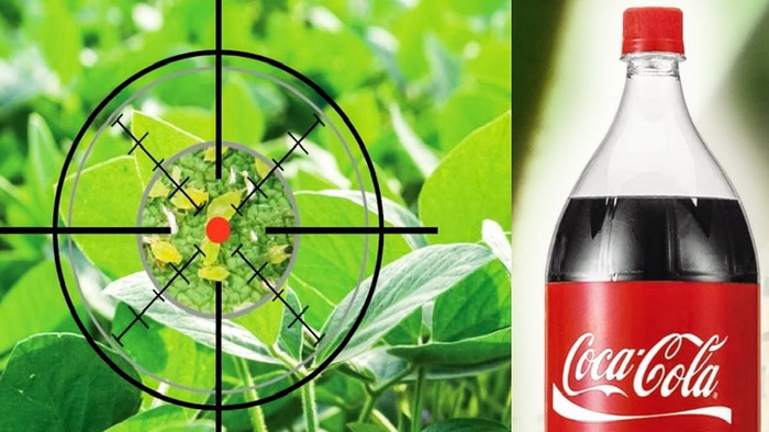 10 самых шокирующих фактов о Кока-коле, которые вы не знали 38
