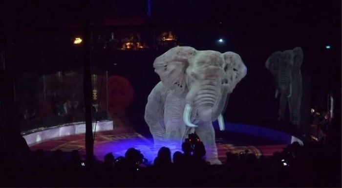«Идеальное решение»: немецкий цирк использует голограммы вместо живых животных 28