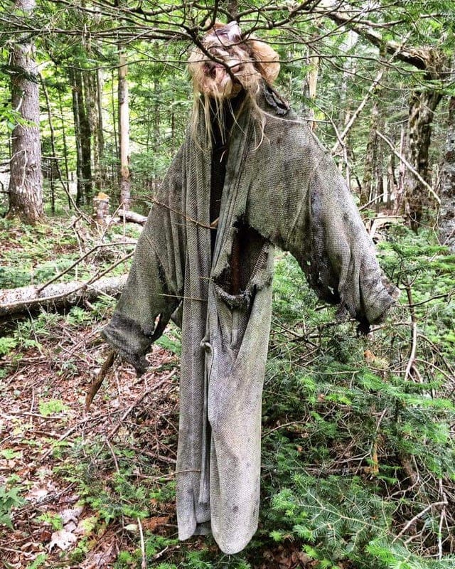 20 неожиданных и странных вещей, которые были найдены во время лесных прогулок 53