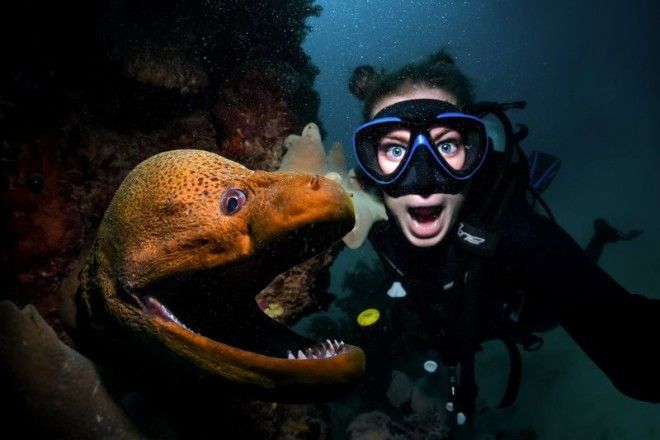 Удивительные кадры дайвера и подводного мира 46