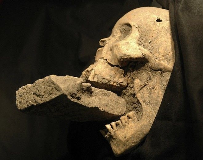 25 самых удивительных в истории археологических находок 44
