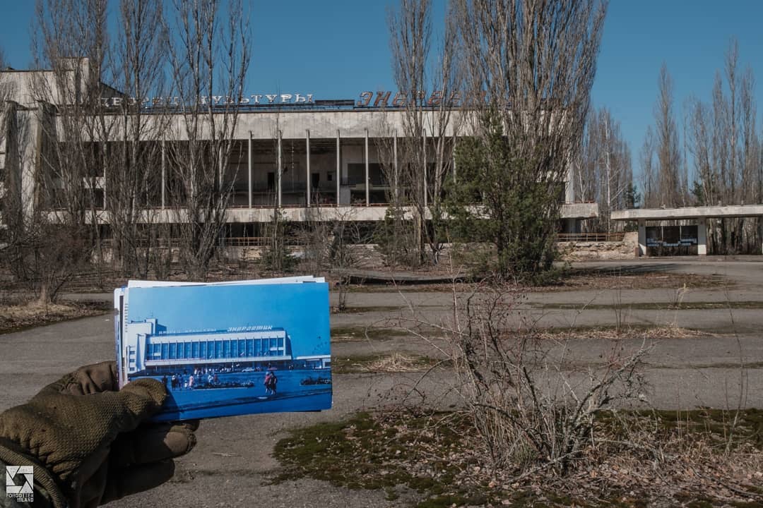 20 фотографий из Чернобыля, которые показывают, как природа восстанавливает заражённую землю 75