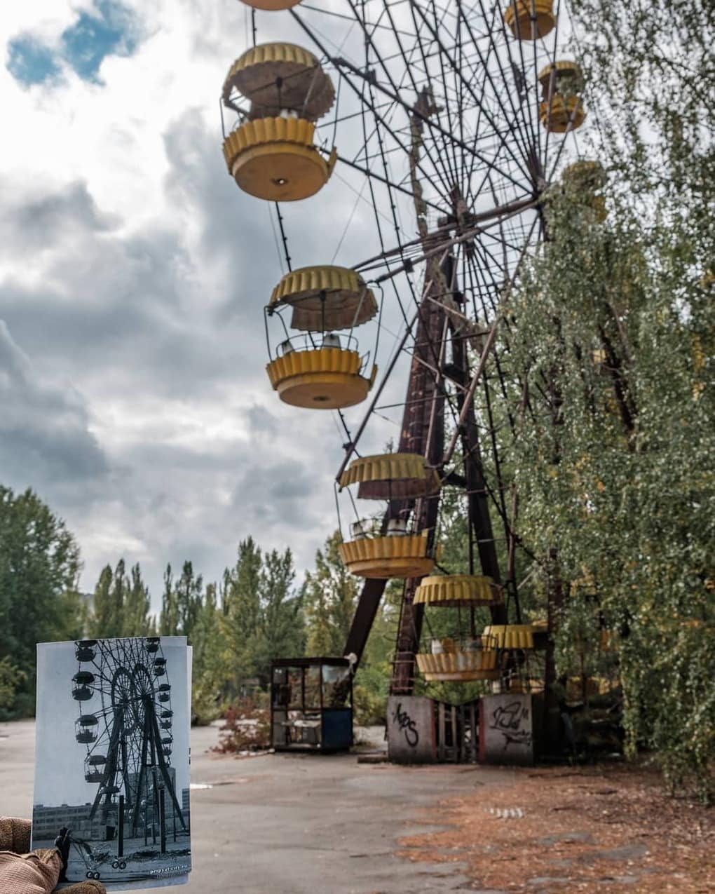 20 фотографий из Чернобыля, которые показывают, как природа восстанавливает заражённую землю 69