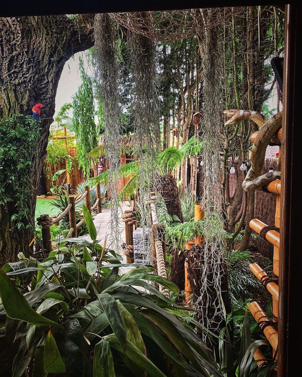 Пара 6 лет не ездила в отпуск, и муж решил исправить ситуацию, превратив их сад в тропический рай 77
