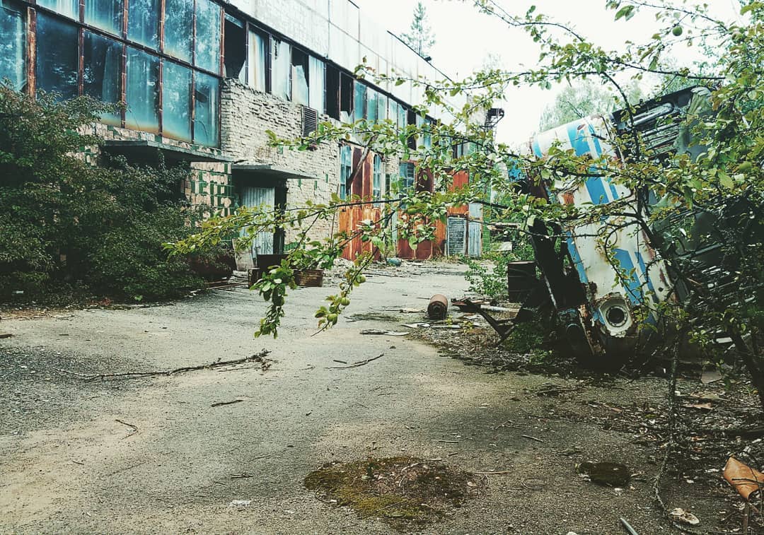 20 фотографий из Чернобыля, которые показывают, как природа восстанавливает заражённую землю 76