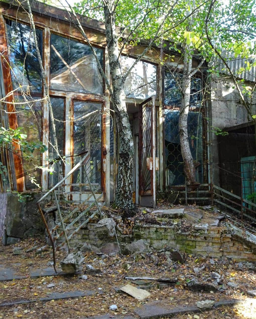 20 фотографий из Чернобыля, которые показывают, как природа восстанавливает заражённую землю 73