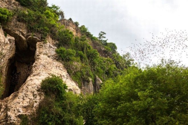 Нерукотворная красота: 12 самых удивительных пещер мира 44