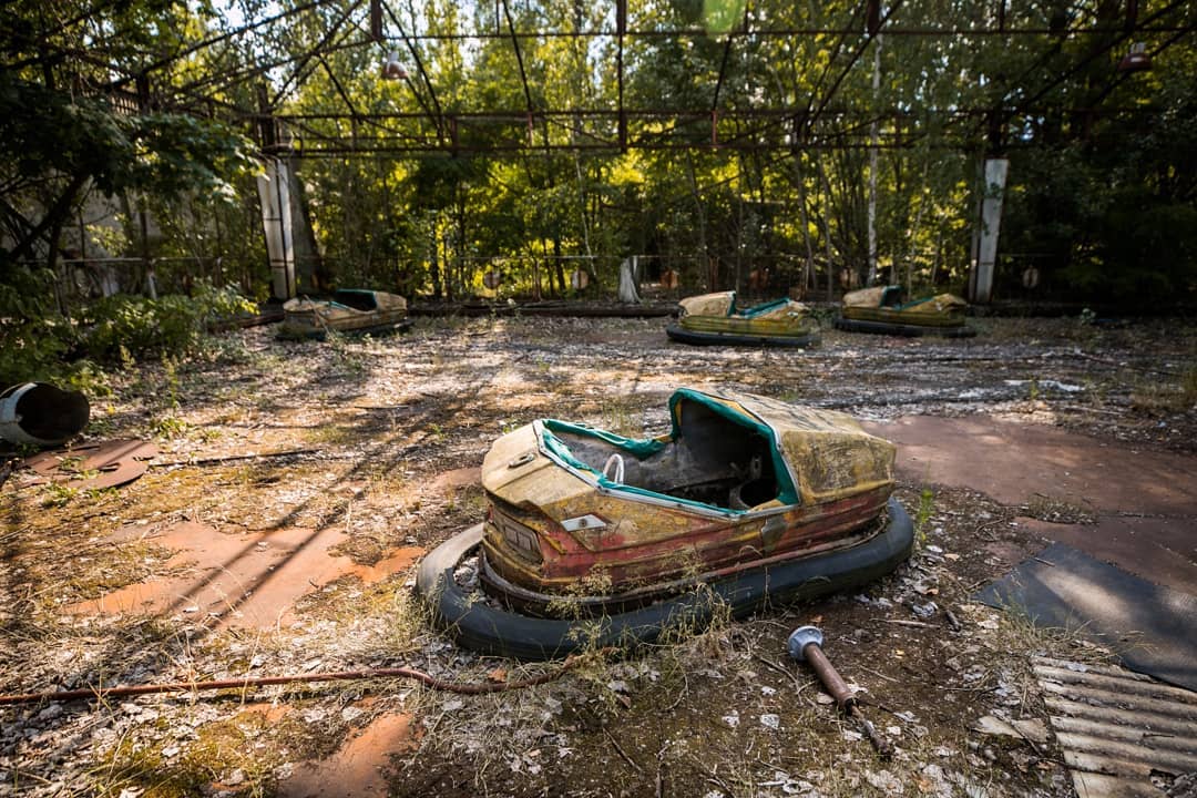 20 фотографий из Чернобыля, которые показывают, как природа восстанавливает заражённую землю 79