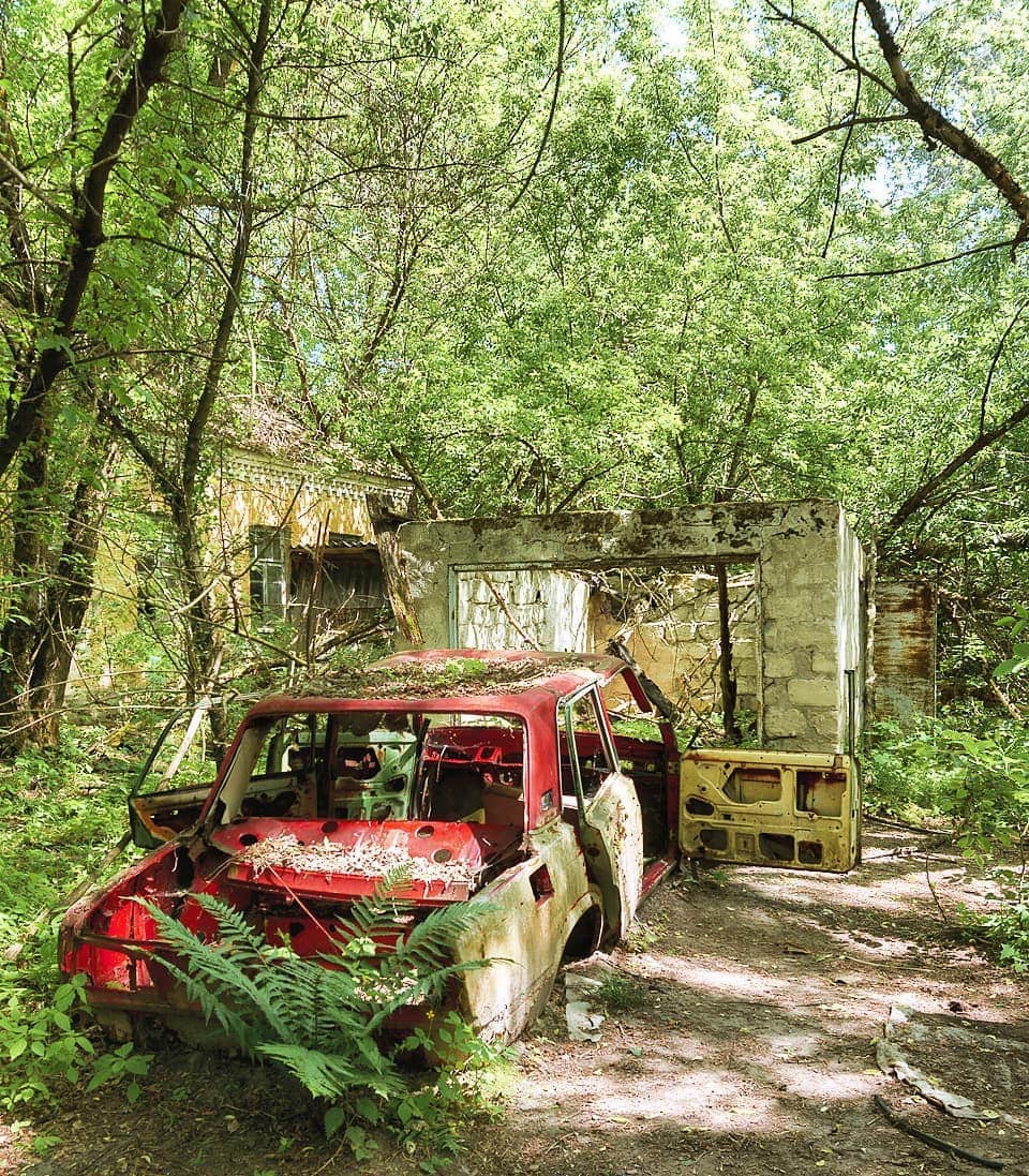 20 фотографий из Чернобыля, которые показывают, как природа восстанавливает заражённую землю 65