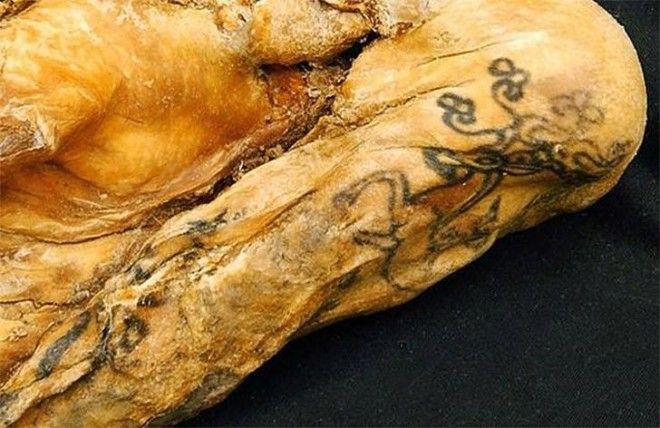 Интересные факты о самых необычных мумиях в истории 38
