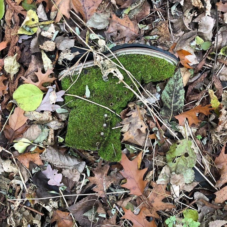 20 неожиданных и странных вещей, которые были найдены во время лесных прогулок 60