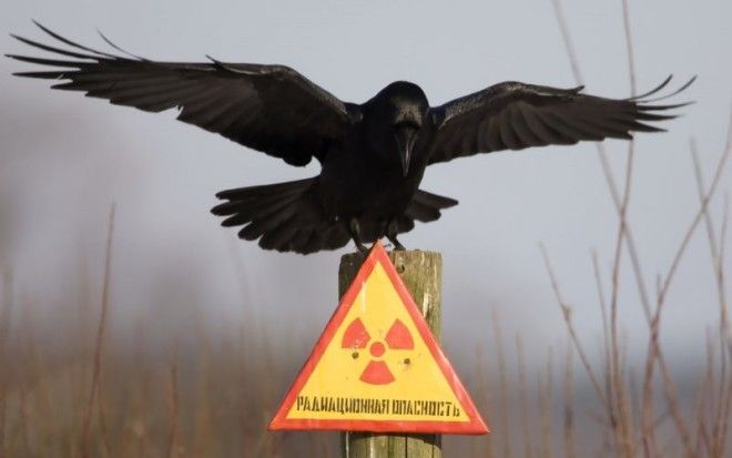 Без ляпов нельзя: в сериале Чернобыль обнаружили исторические несоответствия 20