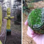 20 неожиданных и странных вещей, которые были найдены во время лесных прогулок