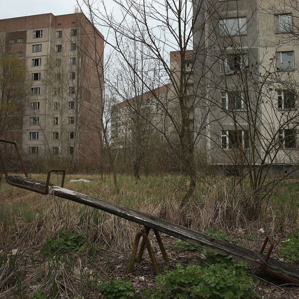 20 фотографий из Чернобыля, которые показывают, как природа восстанавливает заражённую землю 72