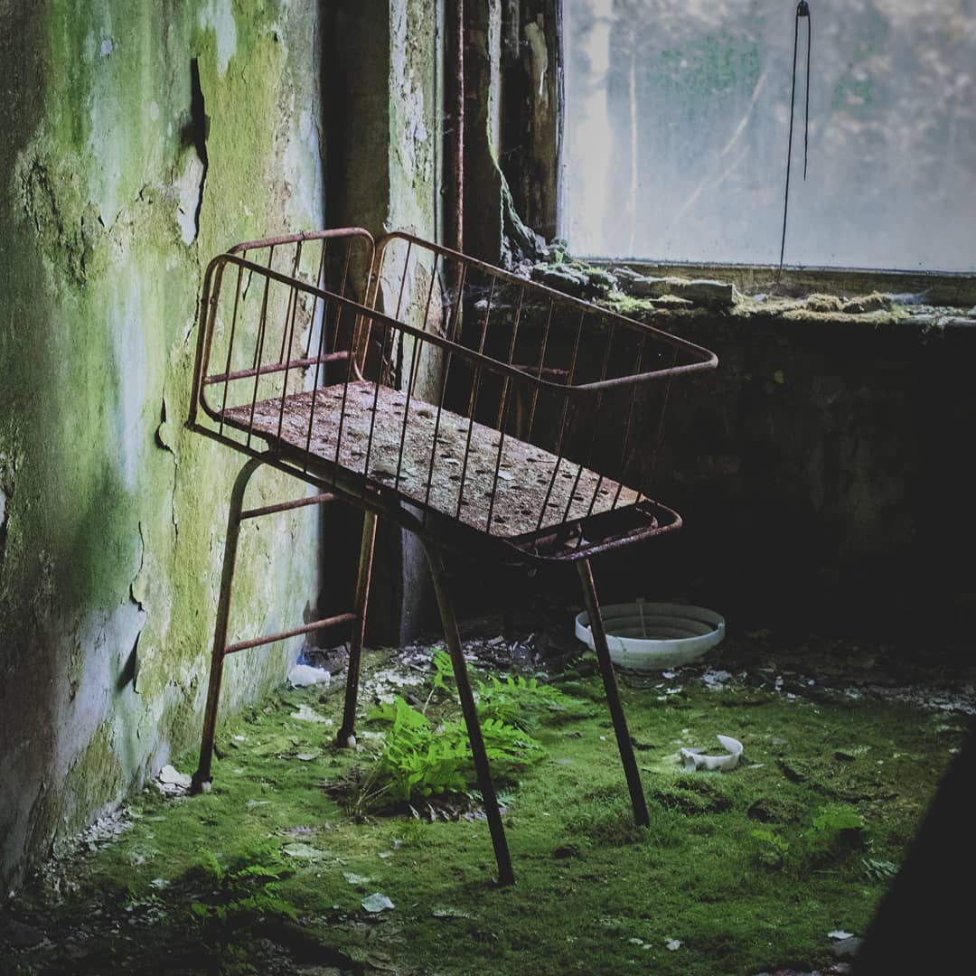 20 фотографий из Чернобыля, которые показывают, как природа восстанавливает заражённую землю 71