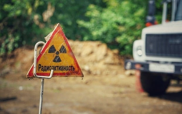 20 фотографий из Чернобыля, которые показывают, как природа восстанавливает заражённую землю 70