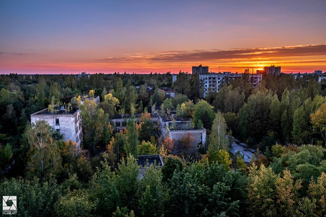 20 фотографий из Чернобыля, которые показывают, как природа восстанавливает заражённую землю 78