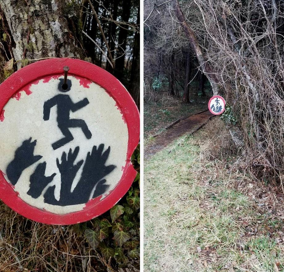 20 неожиданных и странных вещей, которые были найдены во время лесных прогулок 58