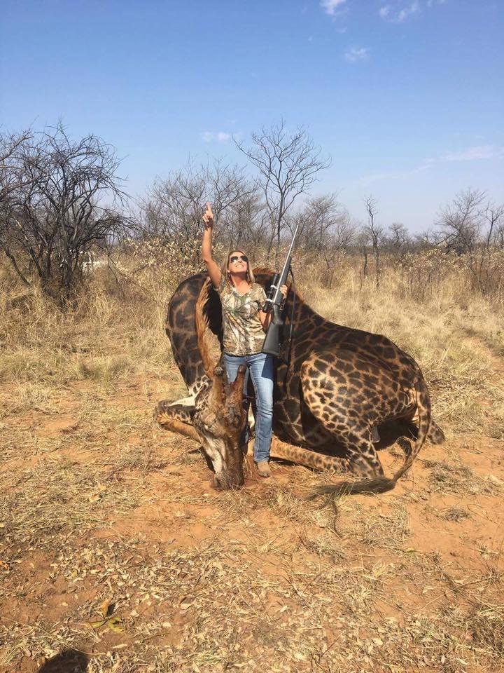 Охотница показала редкого черного жирафа, которого она подстрелила и интернет ее возненавидел 19