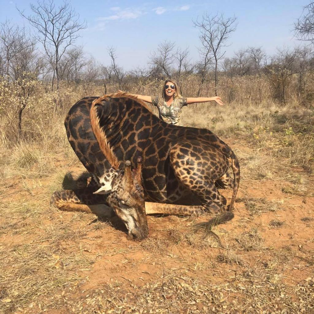 Охотница показала редкого черного жирафа, которого она подстрелила и интернет ее возненавидел 21