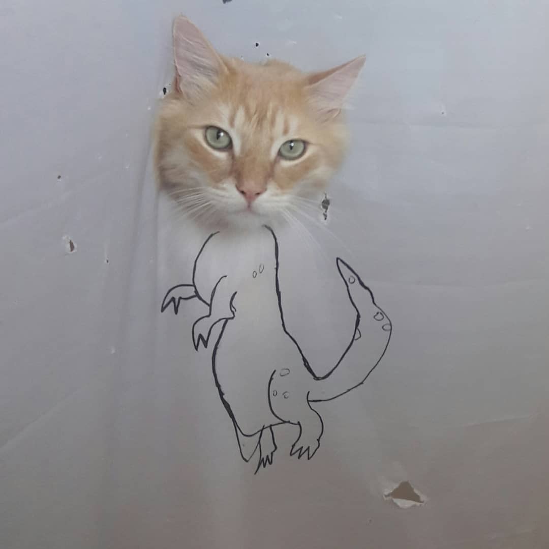 Кот рвал шторки в ванной, и хозяйка решила это исправить — она начала дополнять дырки рисунками 51