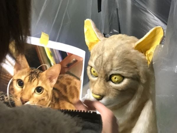 Японец создаёт реалистичные маски кошек для их хозяев, и это новый способ доказать питомцу свою любовь 26