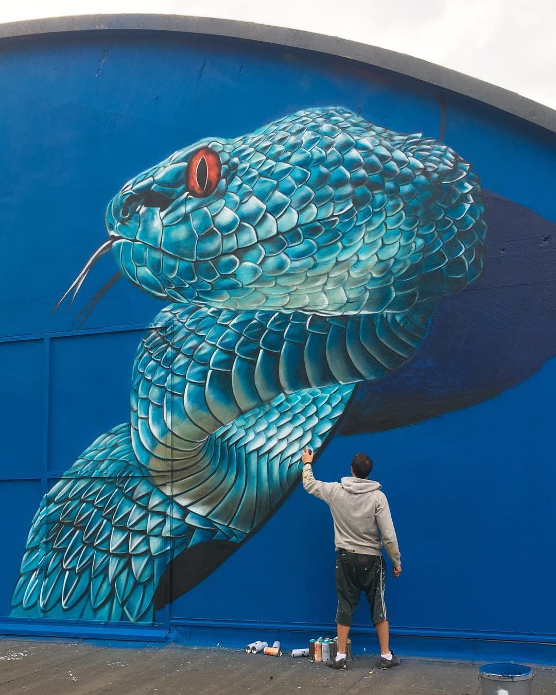 18 граффити от французского мастера, чьи змеи, скорпионы и динозавры выглядят живее всех живых 61