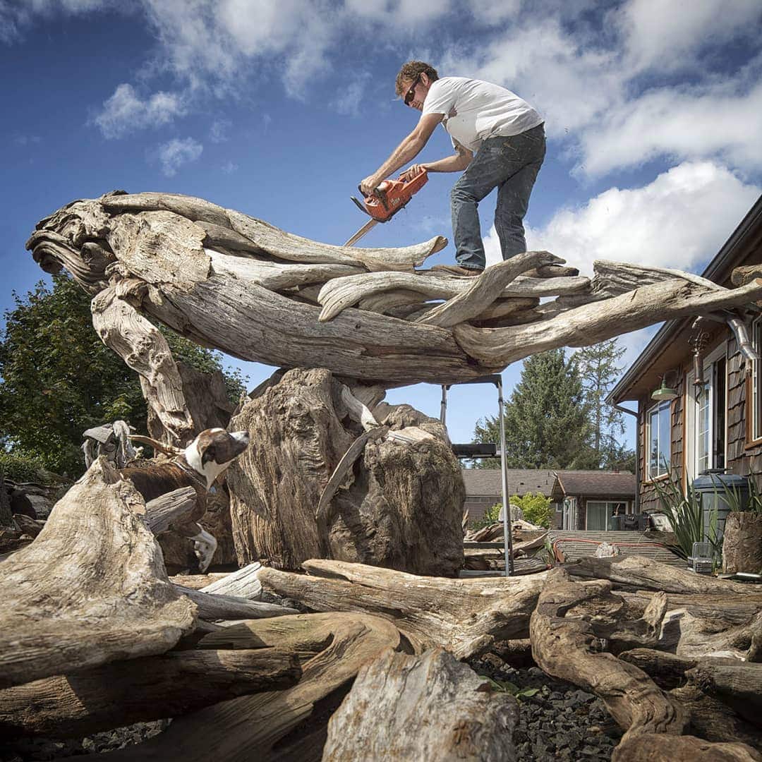 Художник из Вашингтона создаёт скульптуры из сухих деревяшек, от которых дух захватывает 67
