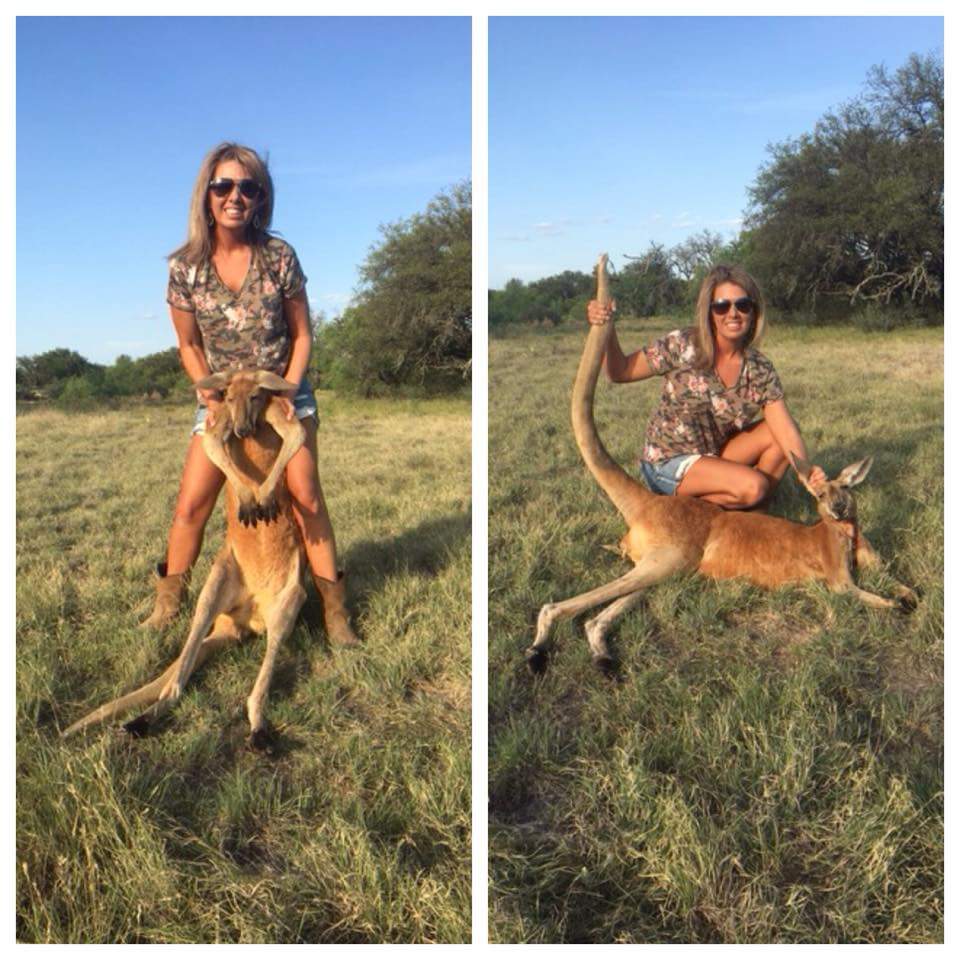Охотница показала редкого черного жирафа, которого она подстрелила и интернет ее возненавидел 23