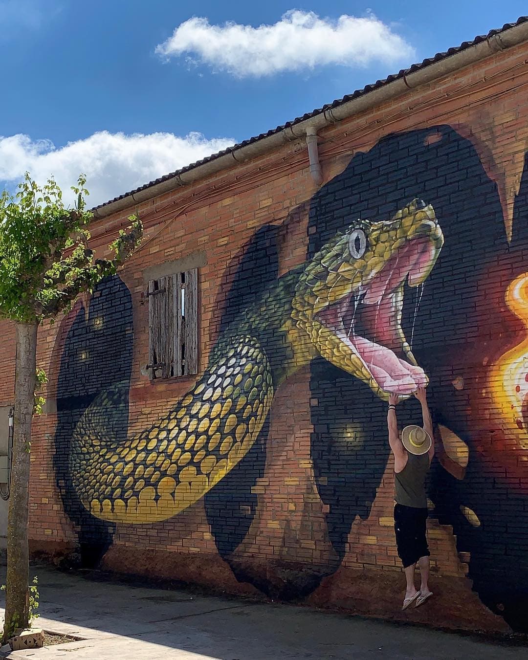 18 граффити от французского мастера, чьи змеи, скорпионы и динозавры выглядят живее всех живых 69