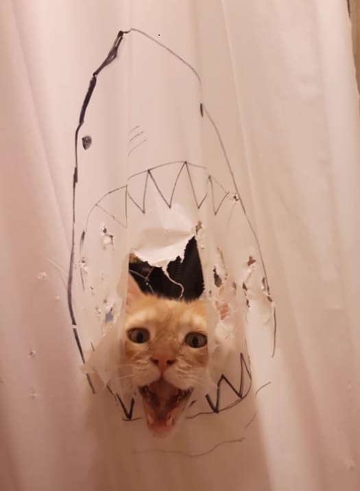 Кот рвал шторки в ванной, и хозяйка решила это исправить — она начала дополнять дырки рисунками 49