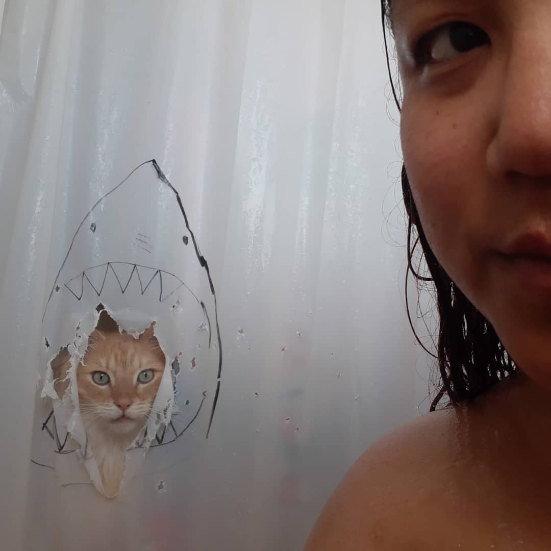 Кот рвал шторки в ванной, и хозяйка решила это исправить — она начала дополнять дырки рисунками 47