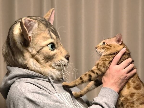 Японец создаёт реалистичные маски кошек для их хозяев, и это новый способ доказать питомцу свою любовь 24