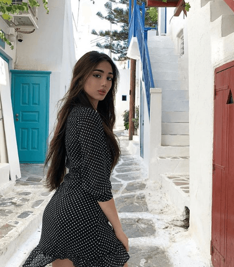 Победительница «Мисс Азия 2019» стала армянка, которая не считает фотошоп огрехом 14