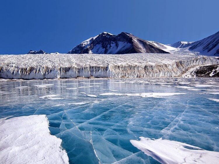 10 нереальных крутых фактов о холодной Антарктиде 34