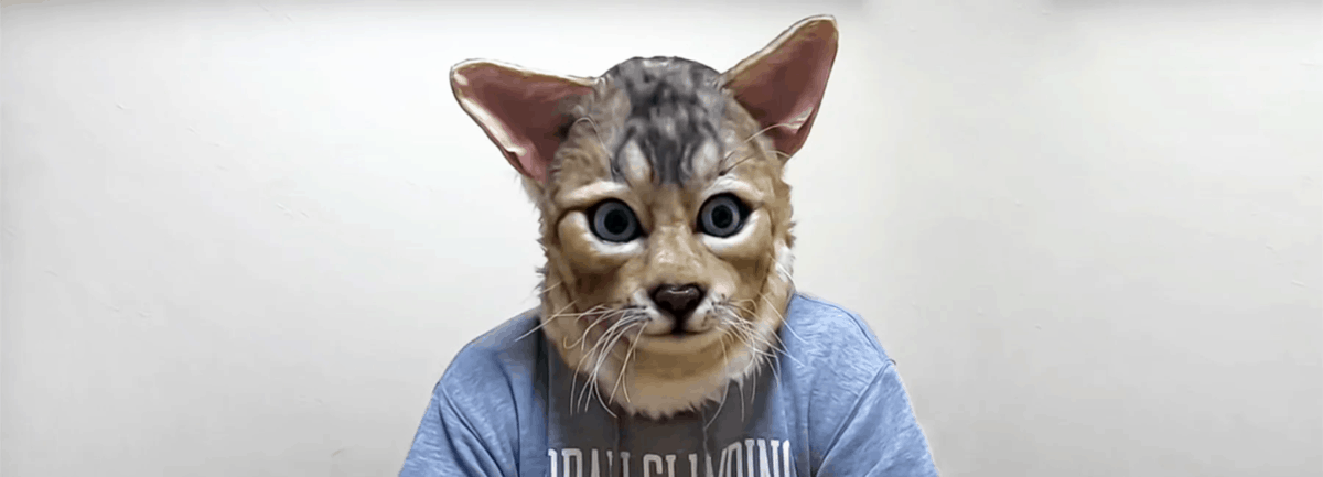 Японец создаёт реалистичные маски кошек для их хозяев, и это новый способ доказать питомцу свою любовь 22