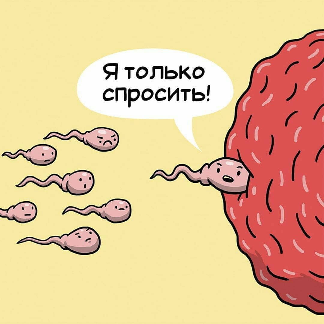 10 забавных комиксов о нелёгкой, но весёлой жизни внутренних органов человека 39