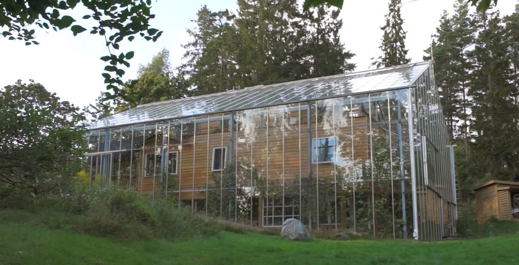 Шведская семья превратила свой дом в огромную теплицу, жизни в которой позавидуют не только помидоры 34