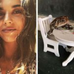 Девушка завела себе жабу и подарила ей такую жизнь, о которой некоторые люди лишь мечтают