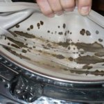 Плесень и грибок в стиральной машине: как сделать, чтобы это ушло навсегда