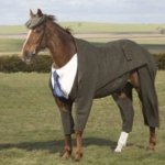 Для лошадки сшили по специальному заказ костюм-тройку! Конь в пальто отдыхает!