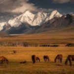 Шикарно! Нетронутая красота Киргизии в фотографиях Альберта Дроса