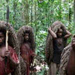 Любовные многоугольники и смерть от суеверий: реальность племени пигмеев