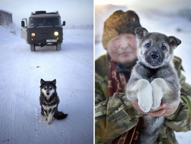 Ты не поверишь, но там живут люди! -67 °C в январе - это самая холодная деревня в мире. 31