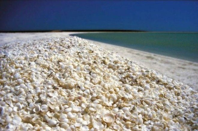 Самые необычные пляжи мира 66
