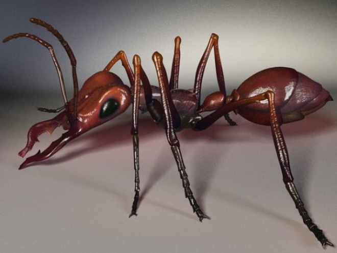 25 поразительных факта о муравьях, о которых Вы не знали 45