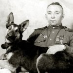 «Джульбарс» — пес, которого на Параде Победы несли на руках