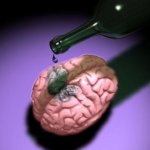 Коллекция заблуждений: алкоголь убивает клетки мозга