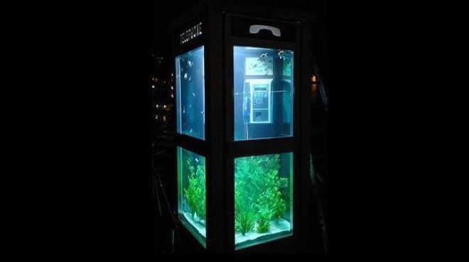 22 идеи аквариума на грани безумства 60
