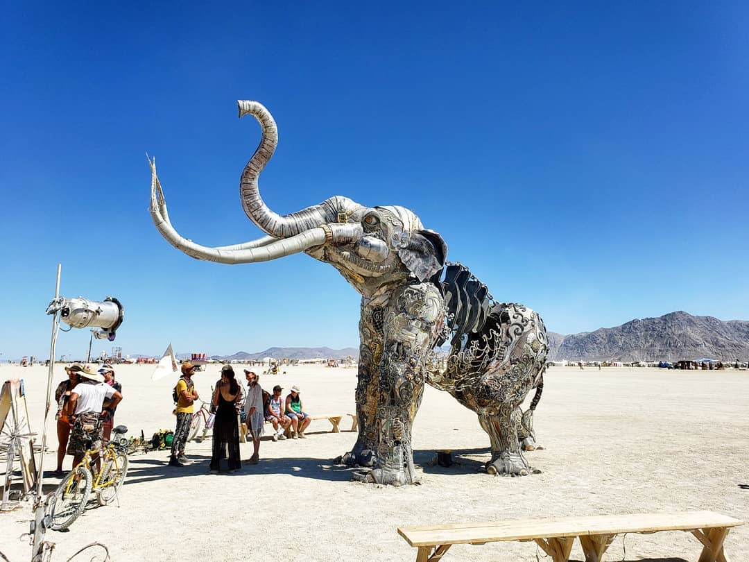 20 фотографий с фестиваля Burning Man 2019 — самого пыльного и огненного события года 67
